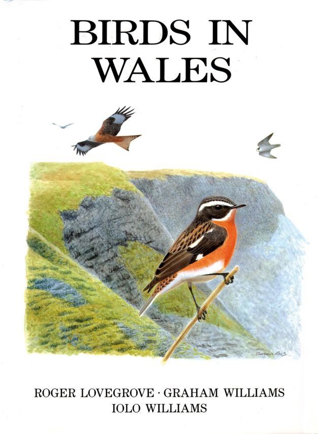  Birds in Wales(Kobo/電子書)