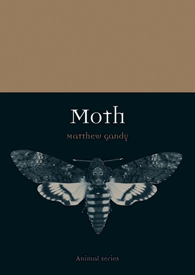  Moth(Kobo/電子書)