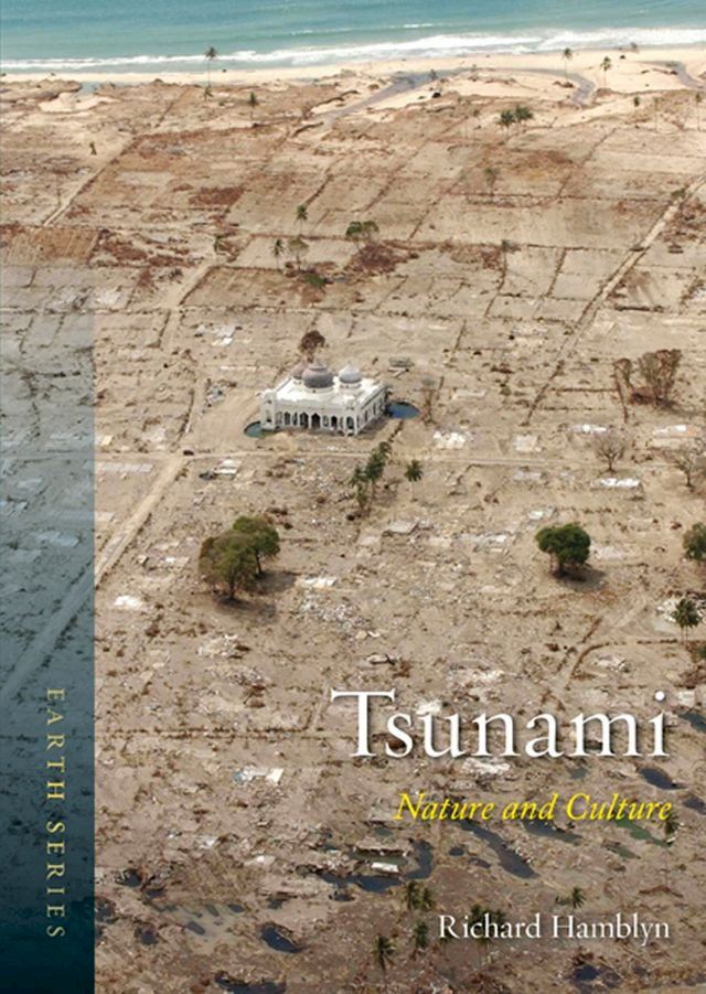  Tsunami(Kobo/電子書)