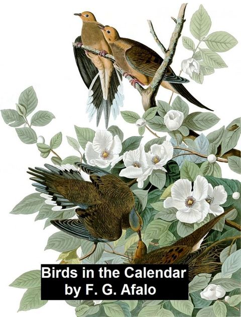 Birds in the Calendar(Kobo/電子書)