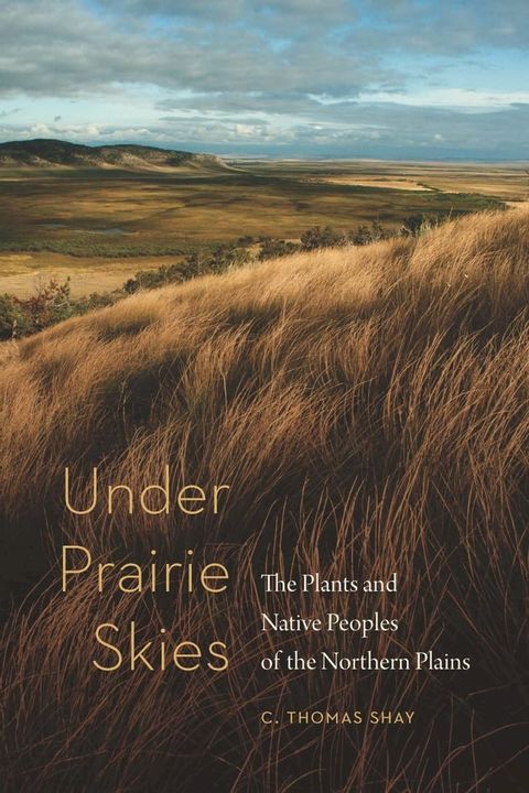 Under Prairie Skies(Kobo/電子書)