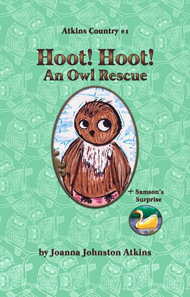  Hoot! Hoot! An Owl Rescue(Kobo/電子書)