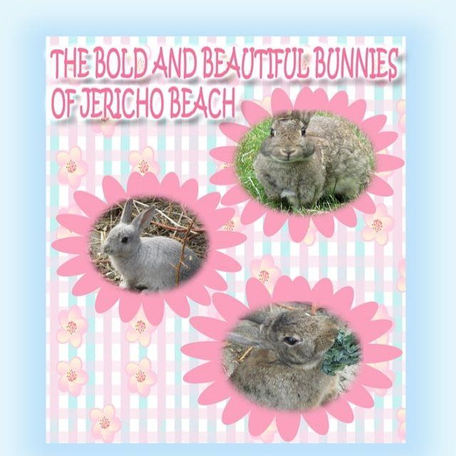  The Bold and Beautiful Bunnies of Jericho Beach(Kobo/電子書)