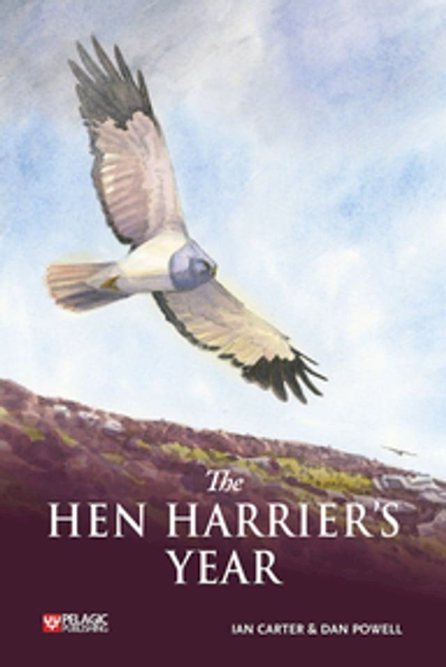  The Hen Harrier's Year(Kobo/電子書)