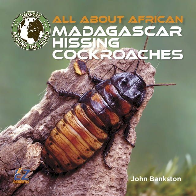  All About African Madagascar Hissing Cockroaches(Kobo/電子書)