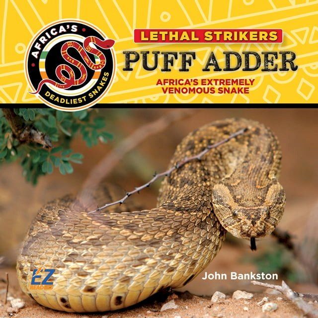  Puff Adder: Africa's Extremely Venomous Snake(Kobo/電子書)