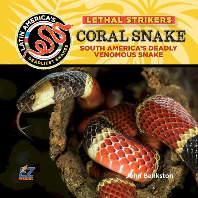  Coral Snake: South America's Deadly Venomous Snake(Kobo/電子書)