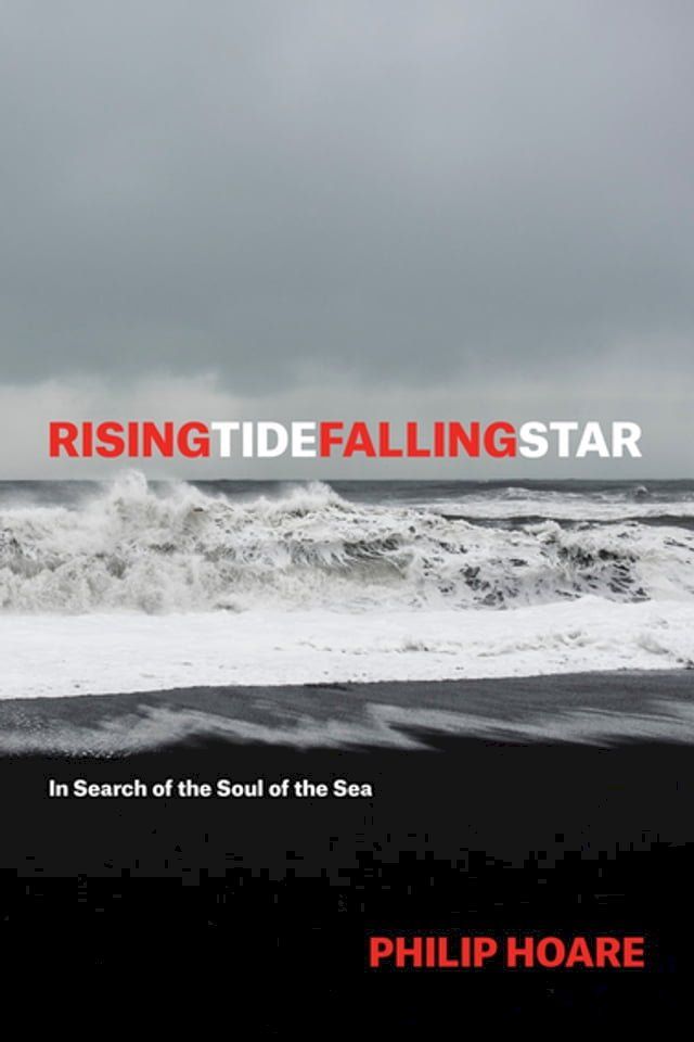  RISINGTIDEFALLINGSTAR(Kobo/電子書)