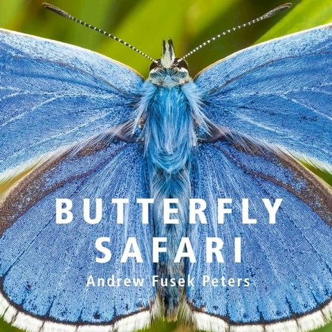 Butterfly Safari(Kobo/電子書)