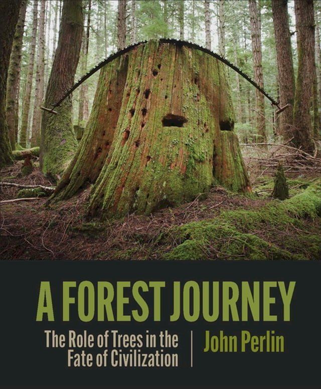  A Forest Journey(Kobo/電子書)