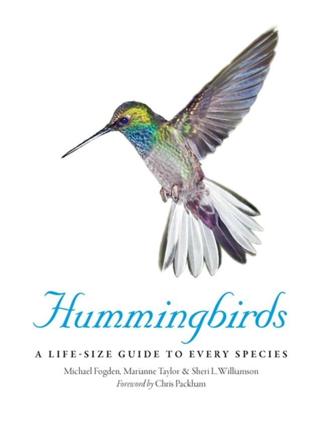  Hummingbirds(Kobo/電子書)