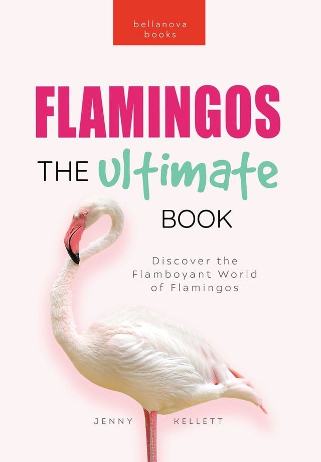  Flamingos The Ultimate Book(Kobo/電子書)