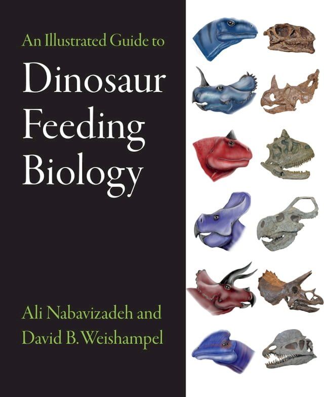  An Illustrated Guide to Dinosaur Feeding Biology(Kobo/電子書)