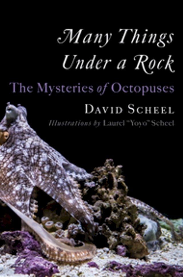  Many Things Under a Rock: The Mysteries of Octopuses(Kobo/電子書)