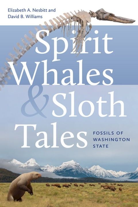 Spirit Whales and Sloth Tales(Kobo/電子書)