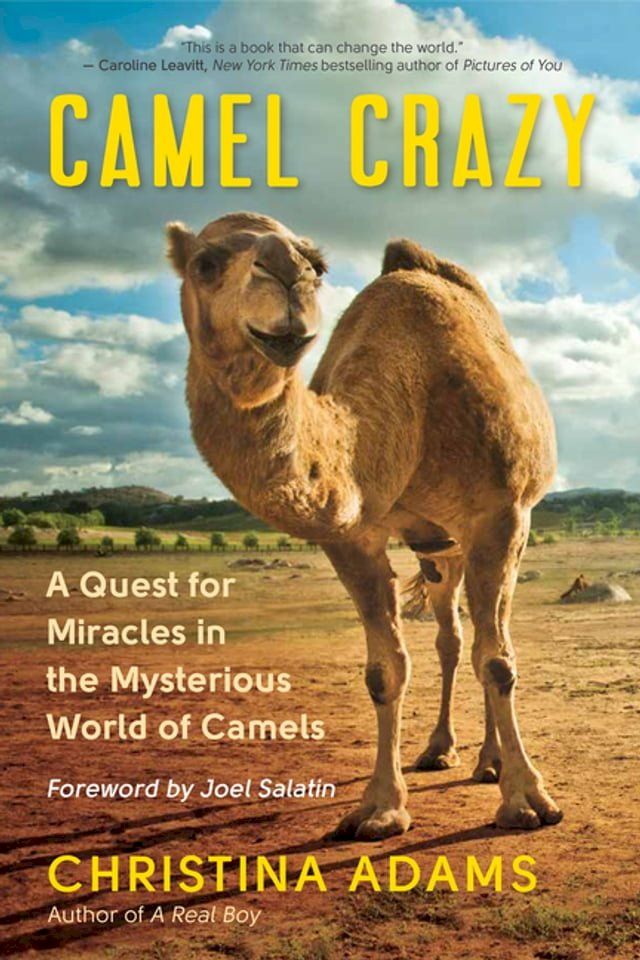  Camel Crazy(Kobo/電子書)