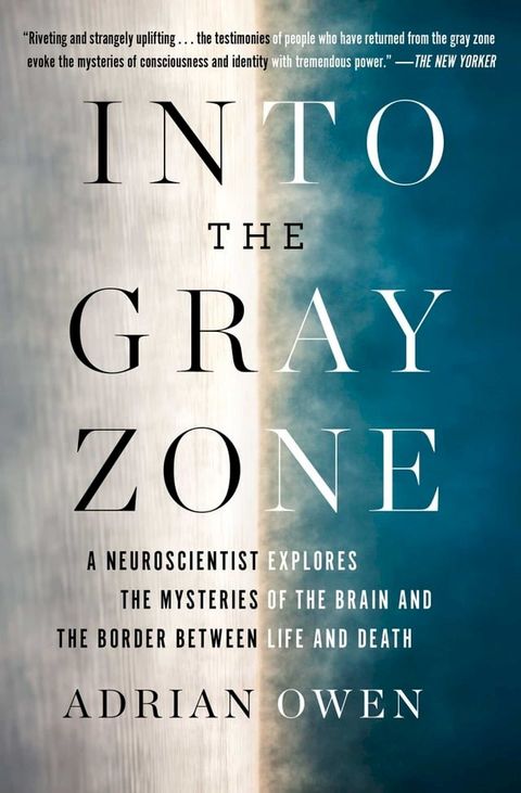 Into the Gray Zone(Kobo/電子書)