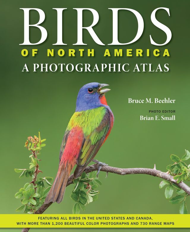  Birds of North America(Kobo/電子書)