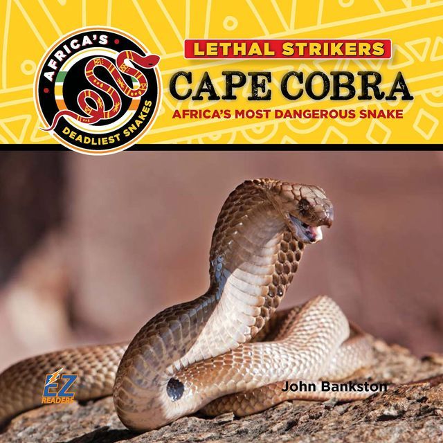  Cape Cobra: Africa's Most Dangerous Snake(Kobo/電子書)