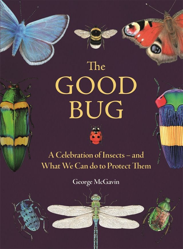  The Good Bug(Kobo/電子書)