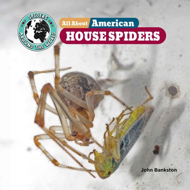  All About American House Spiders(Kobo/電子書)