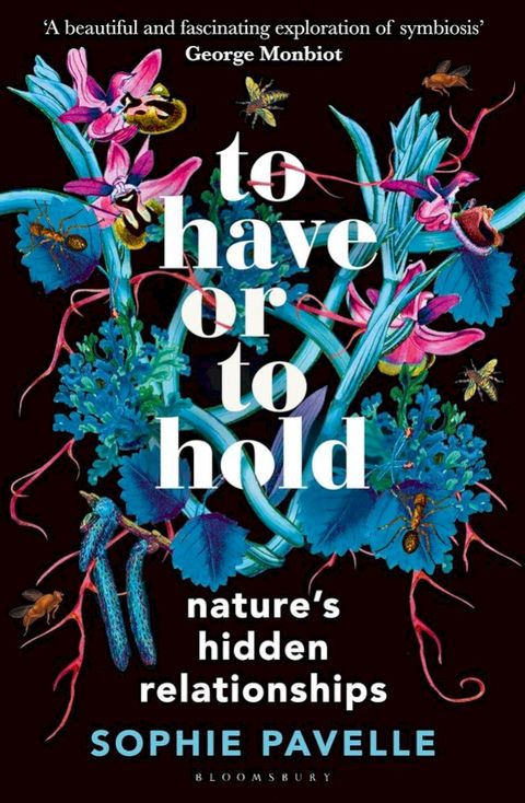 To Have or To Hold(Kobo/電子書)