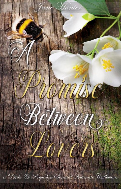 A Promise Between Lovers: A Pride and Prejudice Sensual Intimate Collection(Kobo/電子書)