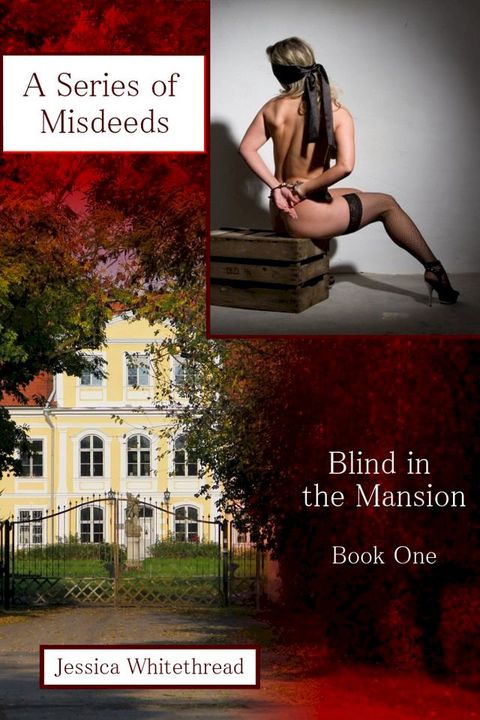 Blind in the Mansion Book One: A Series of Misdeeds(Kobo/電子書)