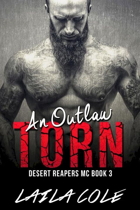 An Outlaw Torn - Book 3(Kobo/電子書)