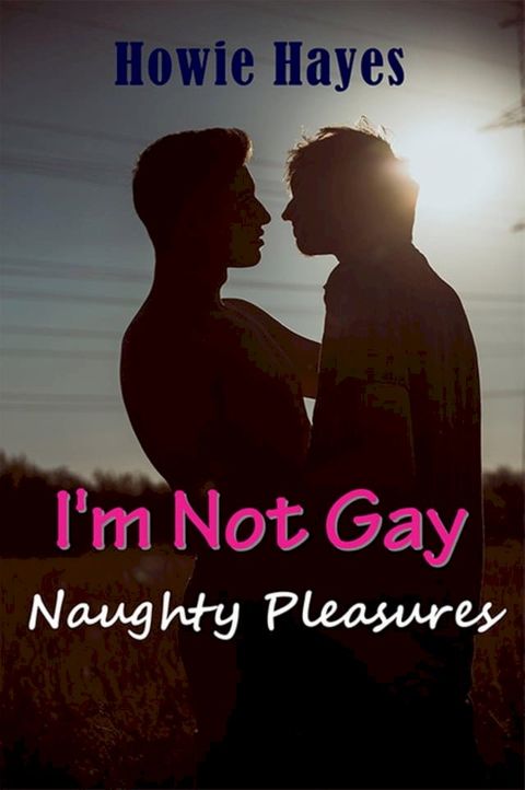 I'm Not Gay(Kobo/電子書)