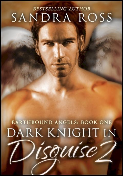 Dark Knight in Disguise II: Earthbound Angel 1(Kobo/電子書)