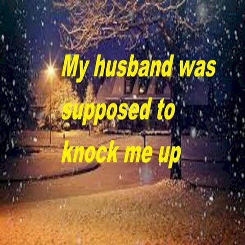 My Husband was Supposed to Knock Me Up(Kobo/電子書)