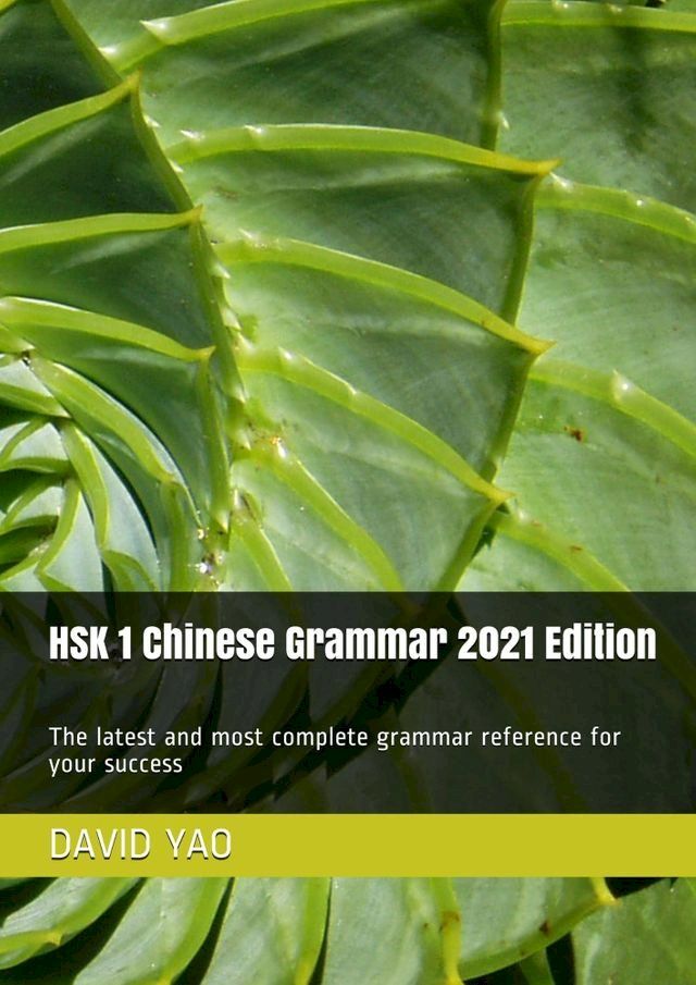  HSK 1 Chinese Grammar 2021 Edition 汉语水平考试规范性语法(Kobo/電子書)