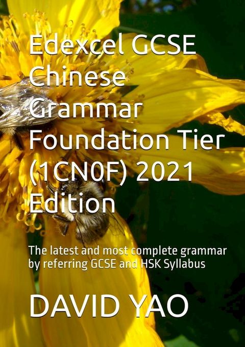 Edexcel GCSE Chinese Grammar Foundation Tier (1CN0F) 2021 Edition 国际汉语水平考试规范性语法(Kobo/電子書)