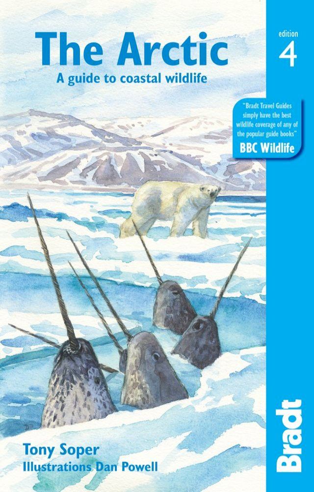  Arctic: A guide to coastal wildlife(Kobo/電子書)