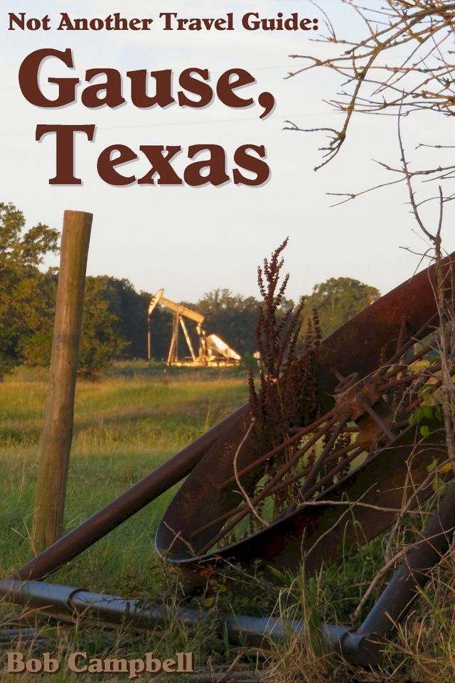  Gause, Texas: Not Another Travel Guide(Kobo/電子書)