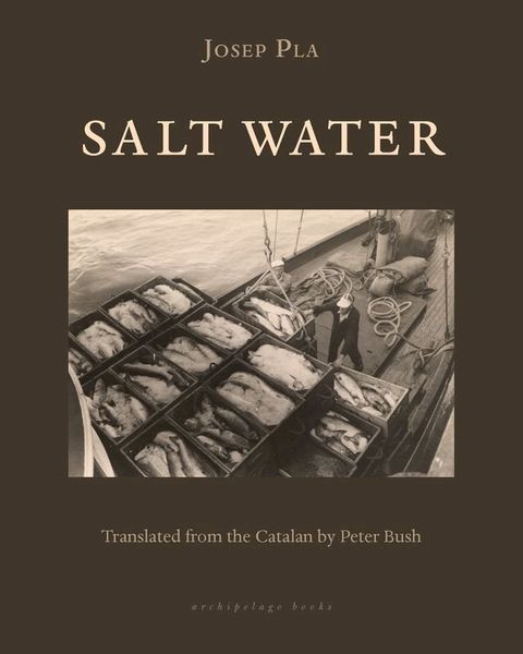 Salt Water(Kobo/電子書)