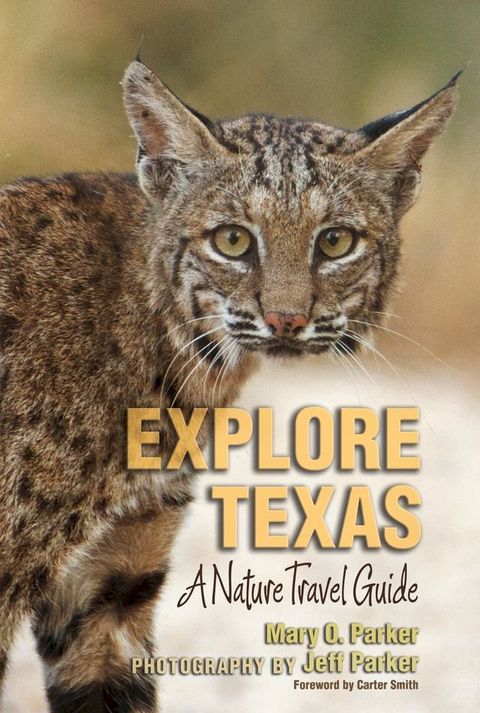 Explore Texas(Kobo/電子書)