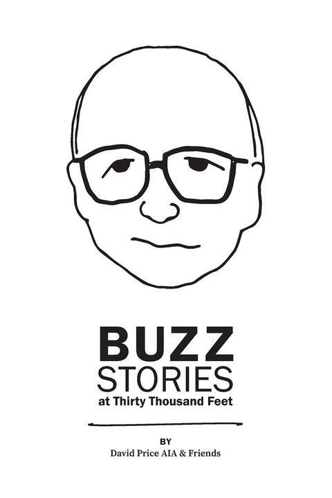 Buzz Stories at Thirty Thousand Feet(Kobo/電子書)