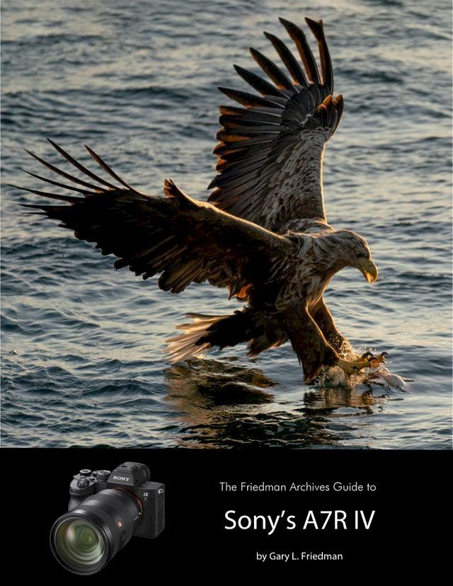  The Friedman Archives Guide to Sony's A7R IV(Kobo/電子書)