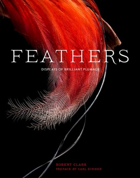 Feathers(Kobo/電子書)