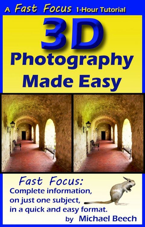 3D Photography Made Easy(Kobo/電子書)