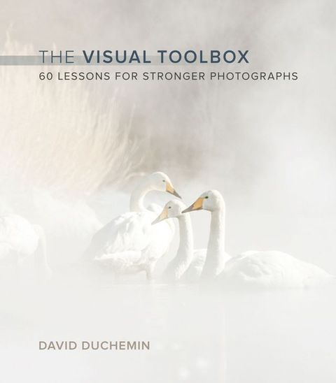 Visual Toolbox, The(Kobo/電子書)