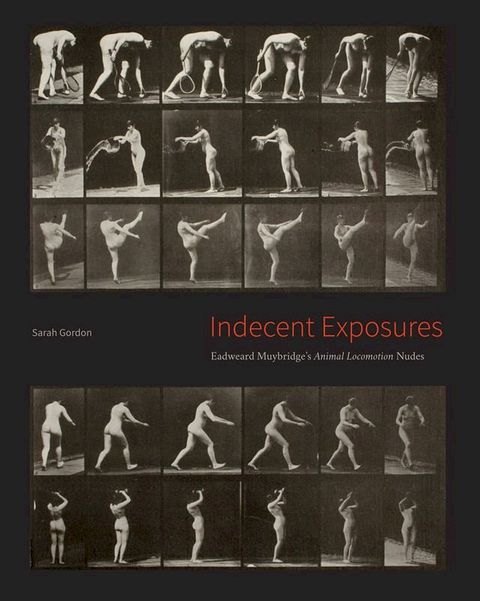 Indecent Exposures(Kobo/電子書)