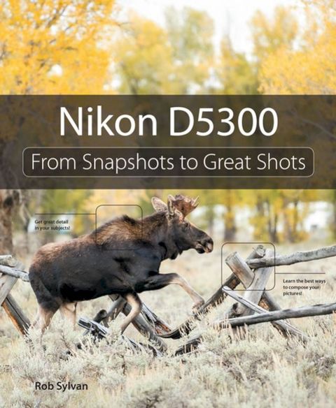 Nikon D5300(Kobo/電子書)