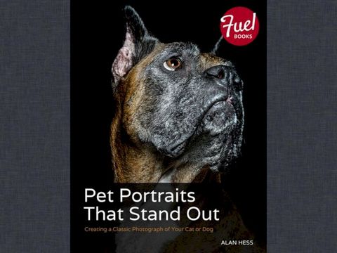 Pet Portraits That Stand Out(Kobo/電子書)