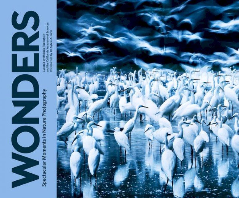  Wonders(Kobo/電子書)
