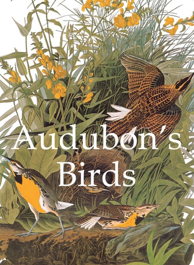  Audubon's Birds(Kobo/電子書)