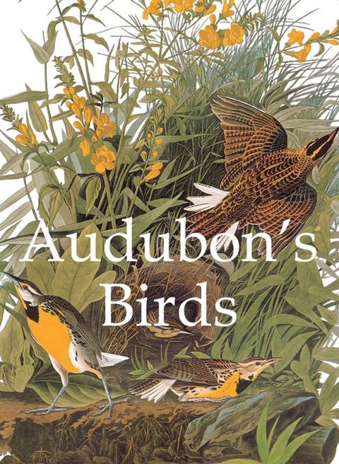 Audubon's Birds(Kobo/電子書)