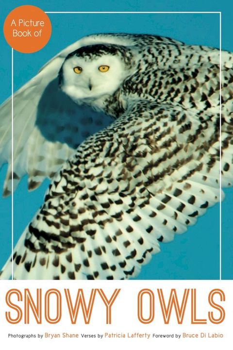 A Picture Book of Snowy Owls(Kobo/電子書)